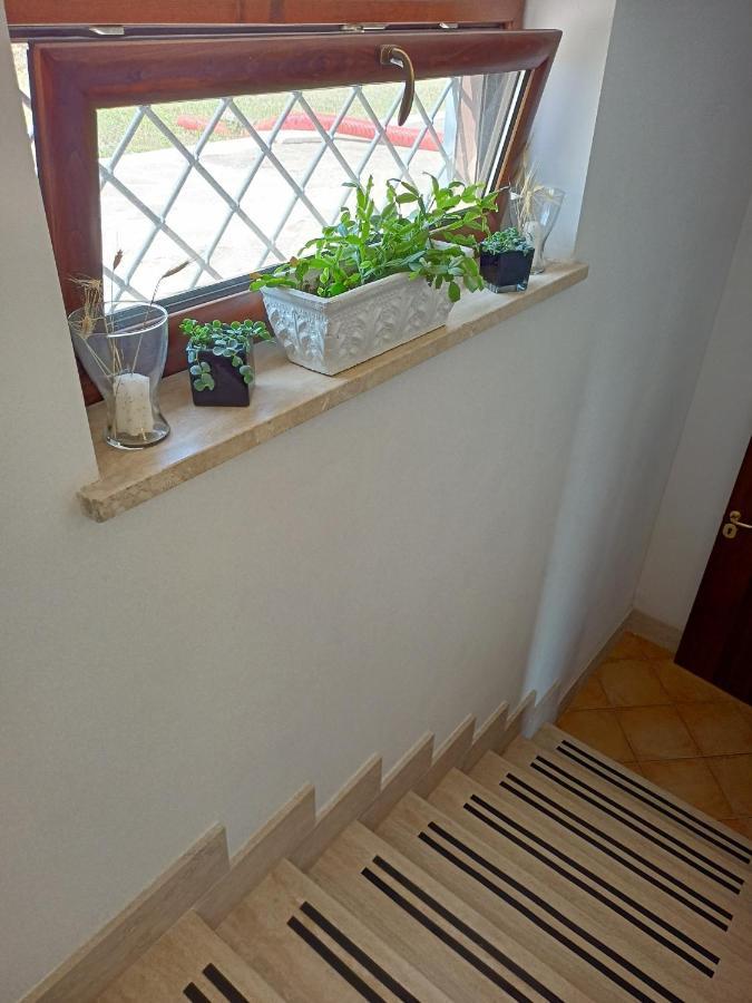 Bed and breakfast Il Faggio 17