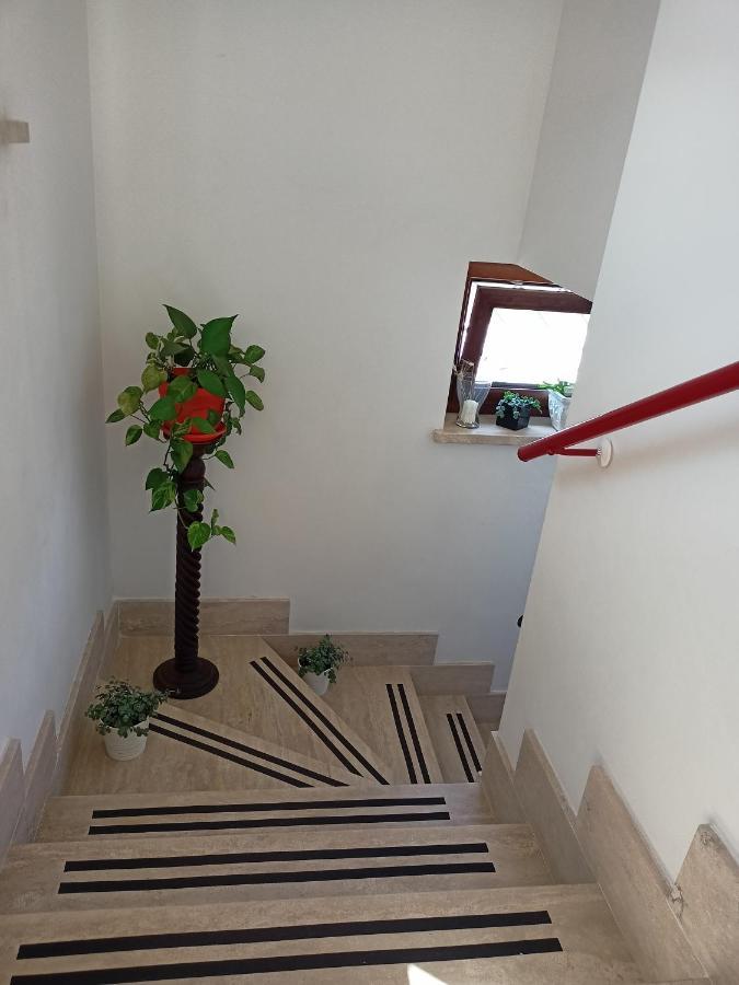 Il Faggio 17 * Artena