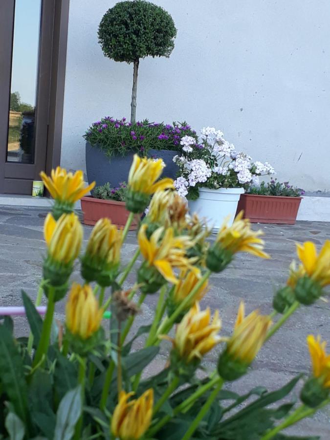 Bed and breakfast Il Faggio 17 *
